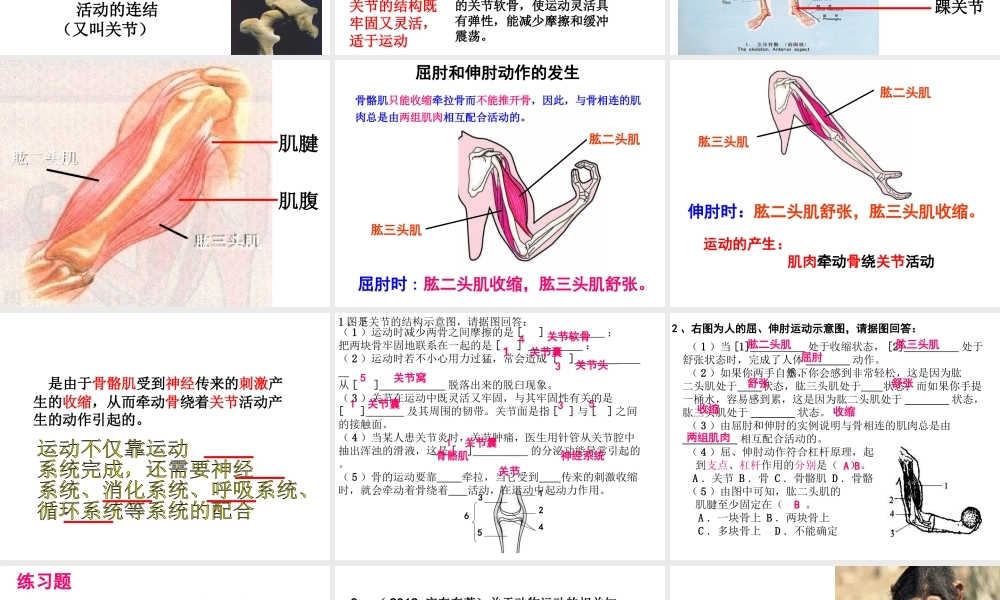 八年级生物上册 第五单元 第二章 动物的运动和行为复习课件 （新版）新人教版-（新版）新人教级上册生物课件