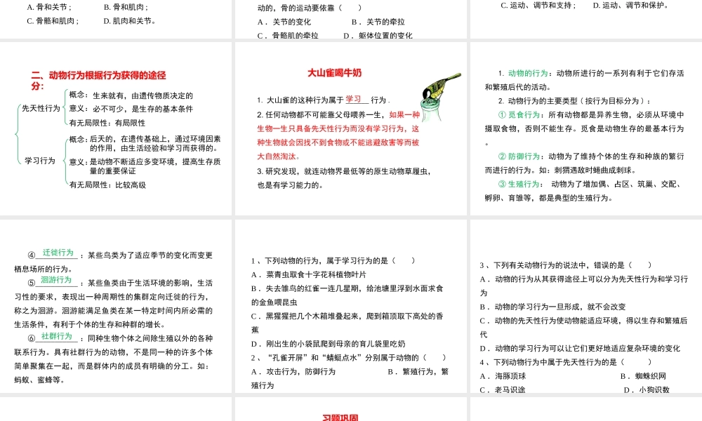 八年级生物上册 第五单元 第二章 动物的运动和行为复习课件2 （新版）新人教版-（新版）新人教版初中八年级上册生物课件
