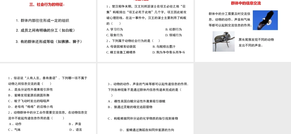 八年级生物上册 第五单元 第二章 动物的运动和行为复习课件2 （新版）新人教版-（新版）新人教版初中八年级上册生物课件