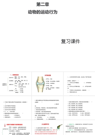 八年级生物上册 第五单元 第二章 动物的运动和行为复习课件2 （新版）新人教版-（新版）新人教版初中八年级上册生物课件