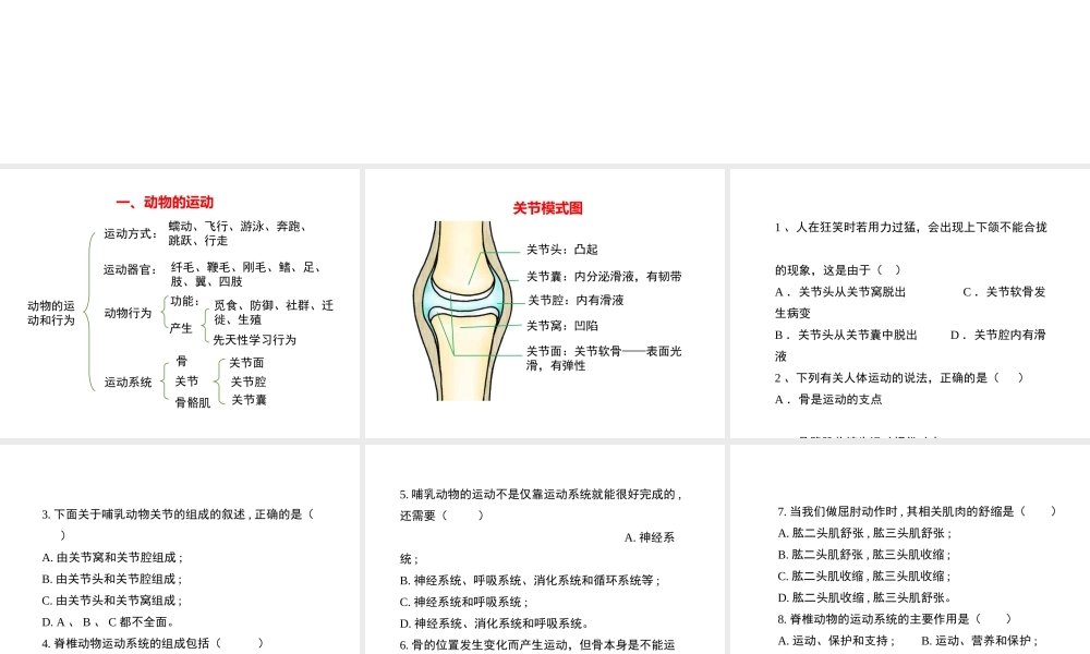 八年级生物上册 第五单元 第二章 动物的运动和行为复习课件2 （新版）新人教版-（新版）新人教级上册生物课件
