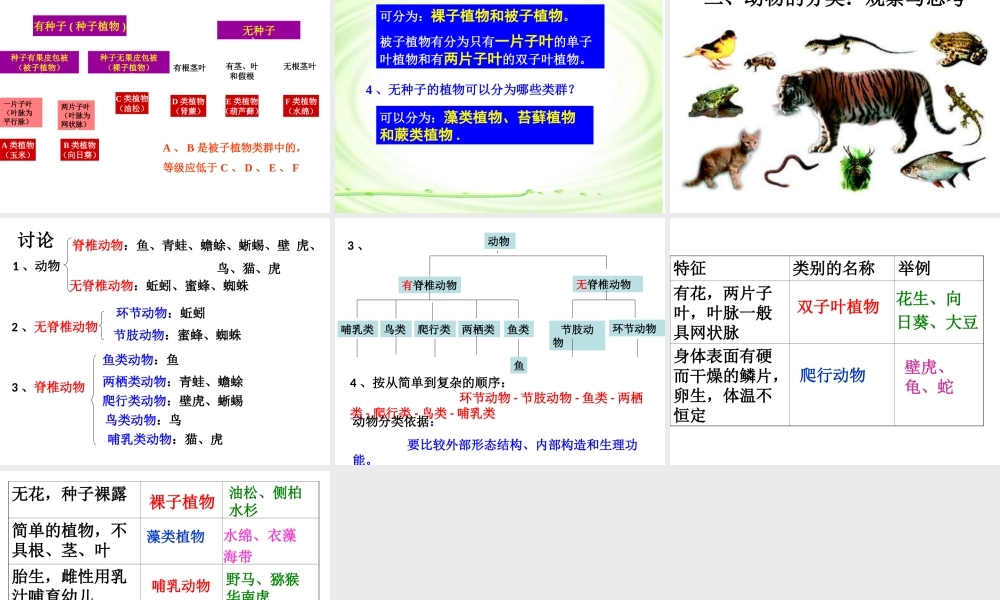 八年级生物上册 第六单元 第一章 第一节 尝试对生物进行分类课件4 （新版）新人教版-（新版）新人教级上册生物课件