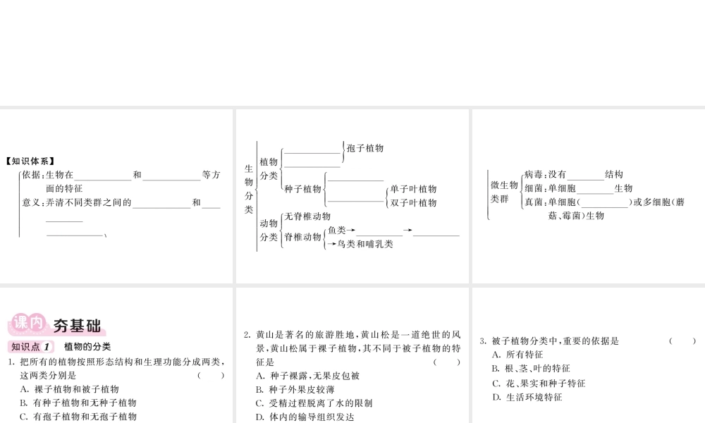 八年级生物上册 第六单元 第一章 第一节 尝试对生物进行分类习题课件 （新版）新人教版-（新版）新人教级上册生物课件