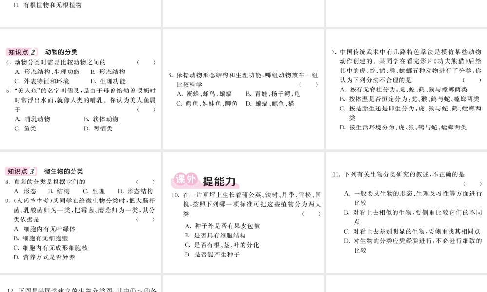 八年级生物上册 第六单元 第一章 第一节 尝试对生物进行分类习题课件 （新版）新人教版-（新版）新人教级上册生物课件