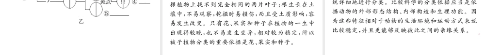 八年级生物上册 第六单元 第一章 第一节 尝试对生物进行分类习题课件 （新版）新人教版-（新版）新人教级上册生物课件