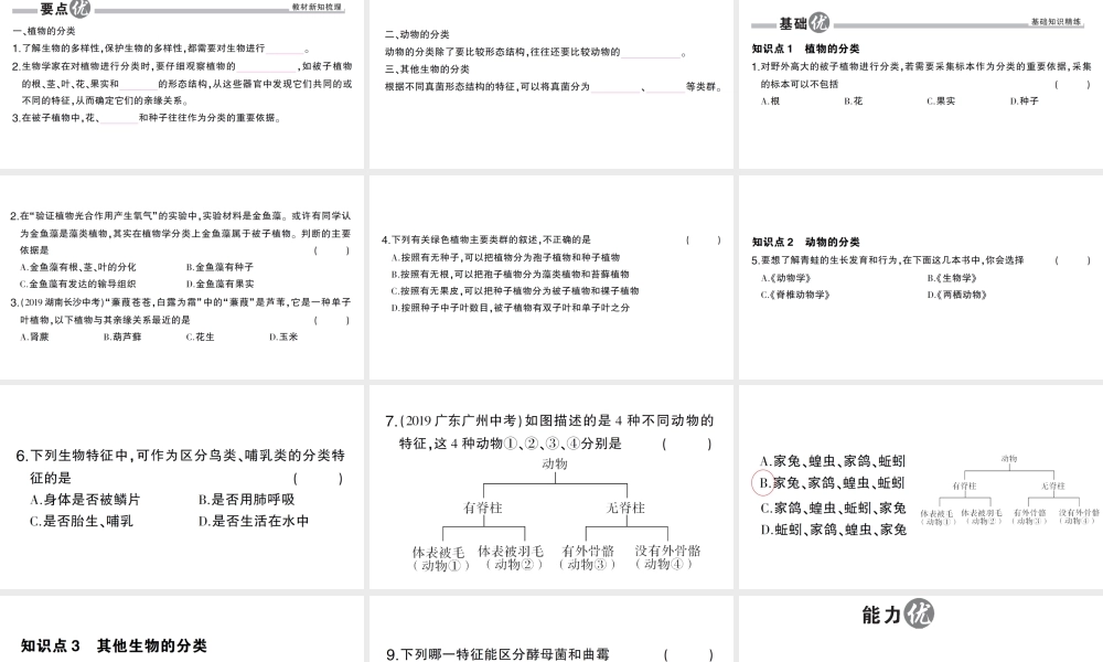 八年级生物上册 第六单元 第一章 第一节 尝试对生物进行分类作业课件 （新版）新人教版-（新版）新人教级上册生物课件