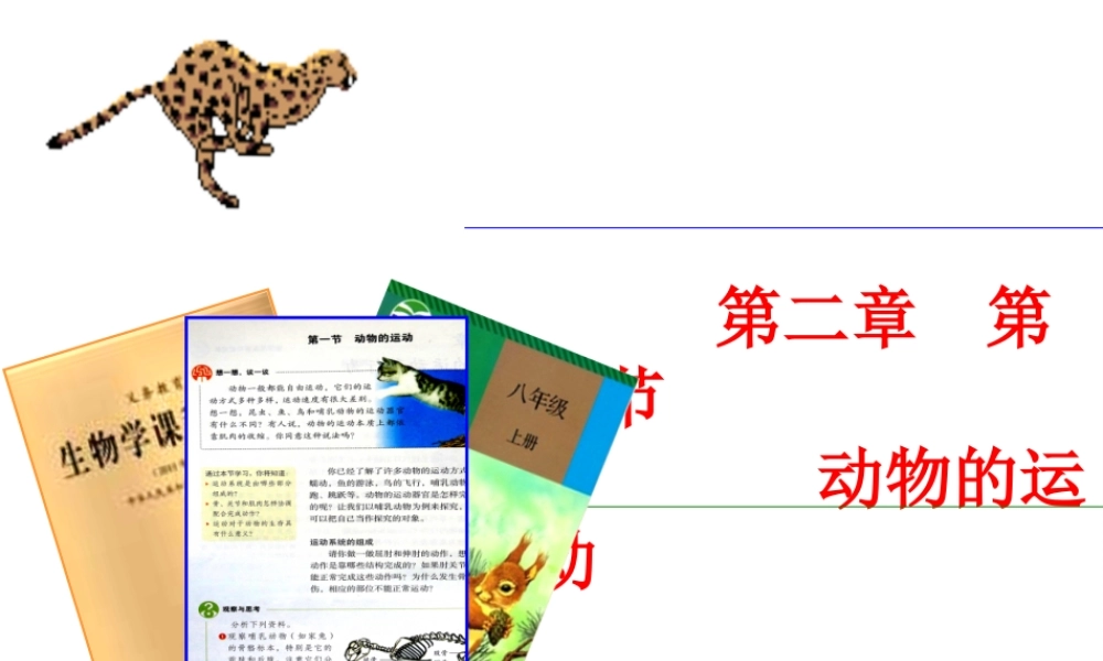 八年级生物上册 第五单元 第二章 动物的运动说课课件 （新版）新人教版-（新版）新人教版初中八年级上册生物课件