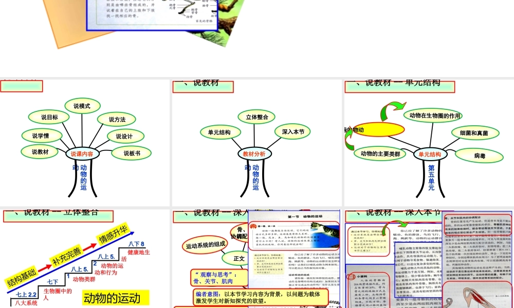 八年级生物上册 第五单元 第二章 动物的运动说课课件 （新版）新人教版-（新版）新人教版初中八年级上册生物课件