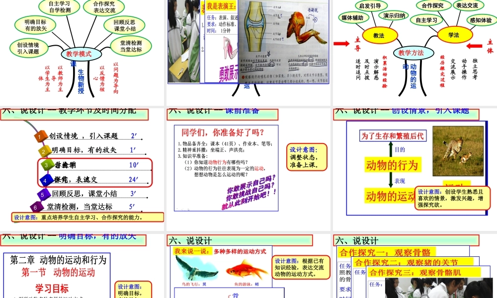 八年级生物上册 第五单元 第二章 动物的运动说课课件 （新版）新人教版-（新版）新人教版初中八年级上册生物课件