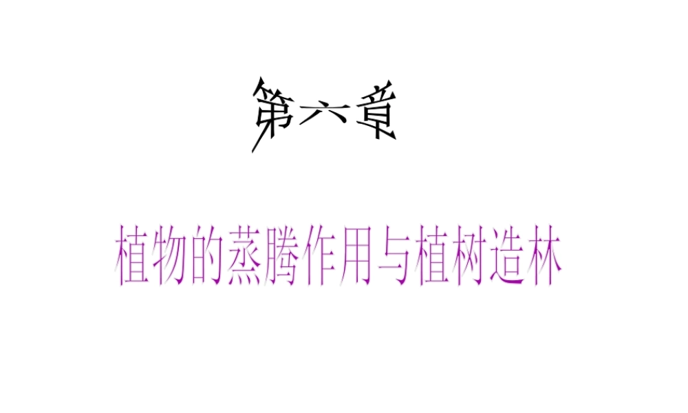 八年级生物上册 第六章  植物的蒸腾作用与植树造林课件 冀教版-冀教级上册生物课件
