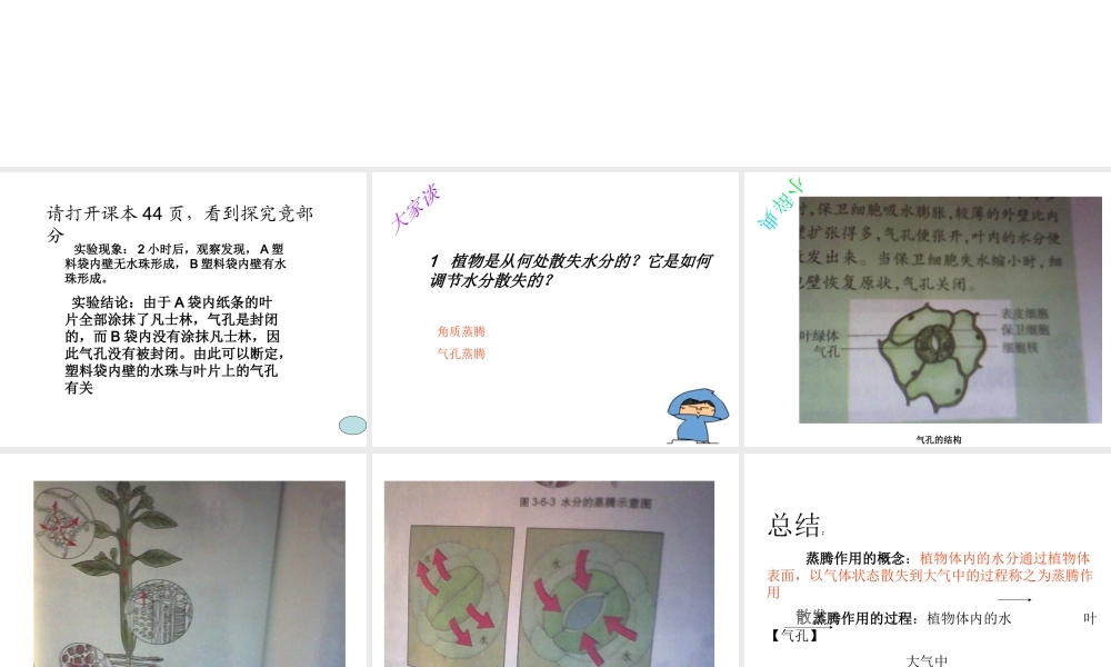 八年级生物上册 第六章  植物的蒸腾作用与植树造林课件 冀教版-冀教级上册生物课件