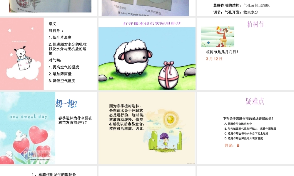 八年级生物上册 第六章  植物的蒸腾作用与植树造林课件 冀教版-冀教级上册生物课件