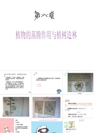 八年级生物上册 第六章  植物的蒸腾作用与植树造林课件 冀教版-冀教级上册生物课件