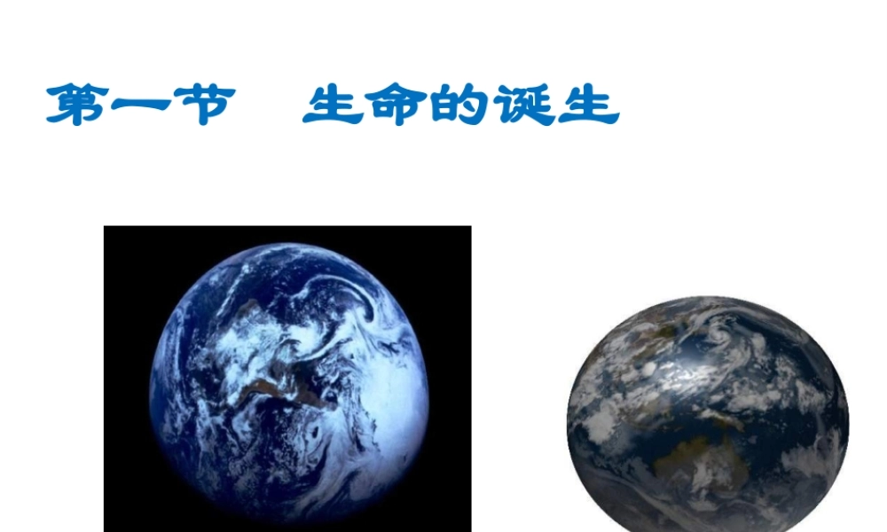 八年级生物上册 第五单元 第十六章 第一节 生命的诞生课件2 （新版）苏教版-（新版）苏教级上册生物课件
