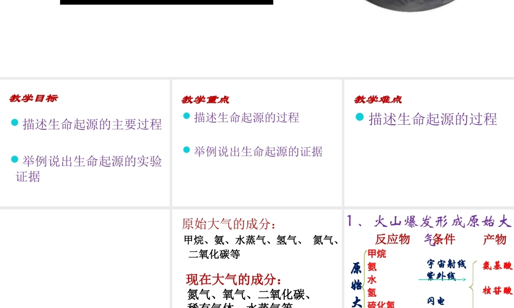 八年级生物上册 第五单元 第十六章 第一节 生命的诞生课件2 （新版）苏教版-（新版）苏教级上册生物课件