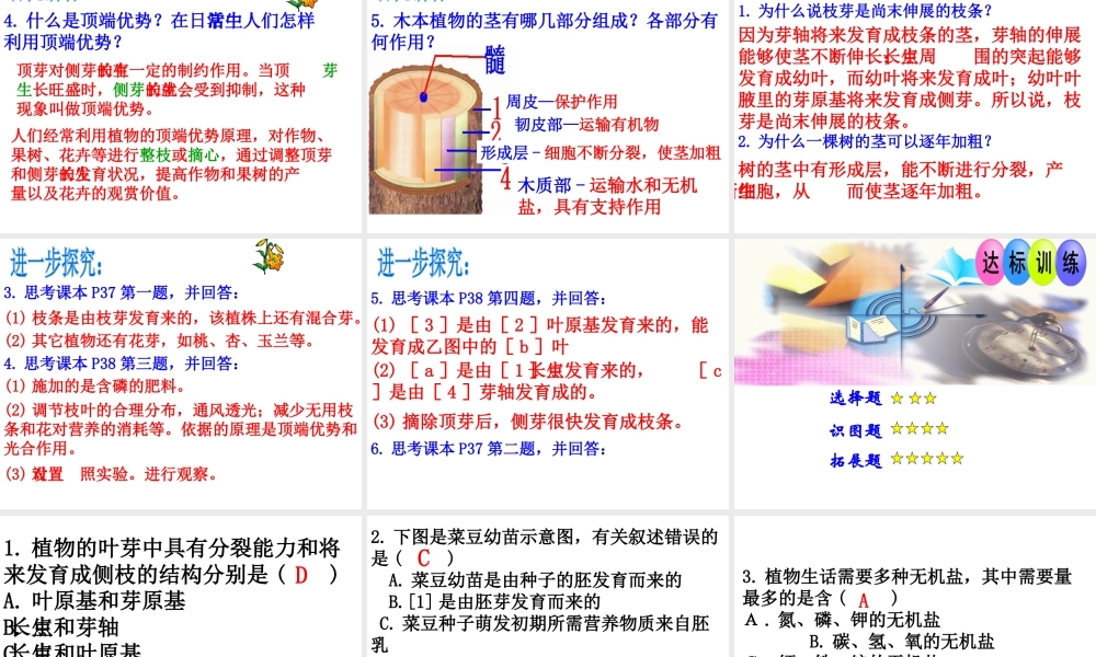八年级生物上册 第四单元 第一章 第六节 芽的类型和发育课件 （新版）济南版-（新版）济南级上册生物课件