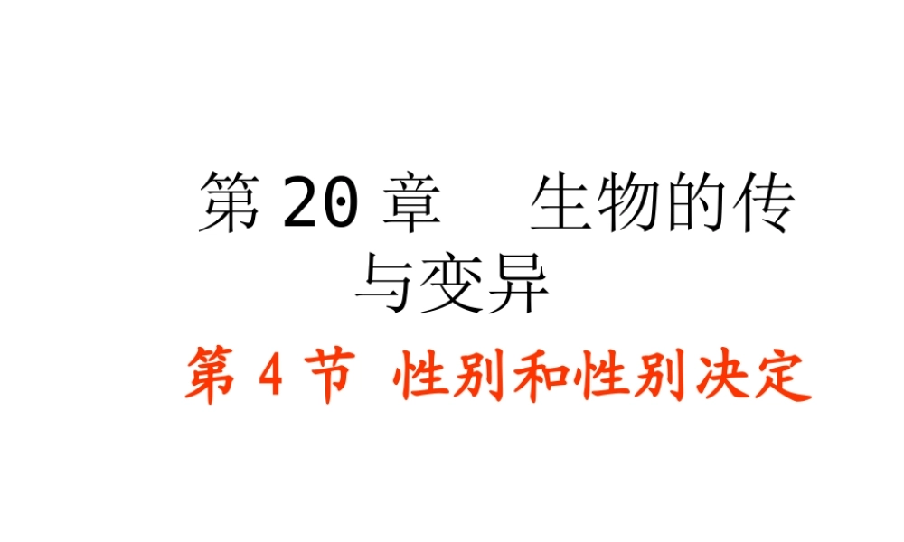 八年级生物上册《 性别和性别决定》课件 北师大版