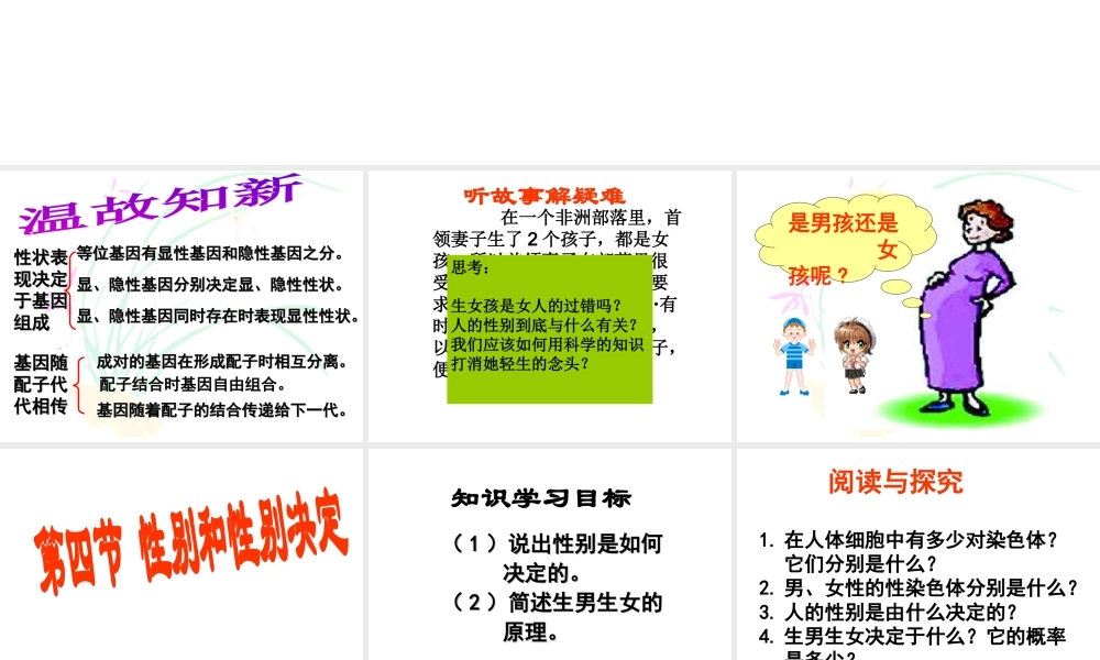 八年级生物上册《 性别和性别决定》课件 北师大版