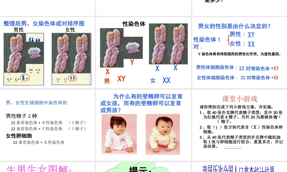 八年级生物上册《 性别和性别决定》课件 北师大版