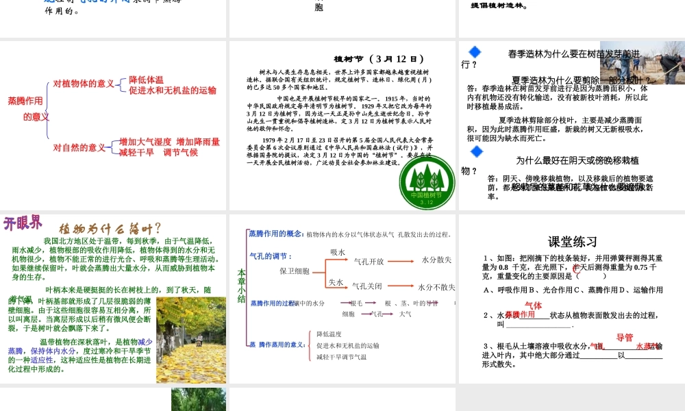 八年级生物上册 第六章《植物的蒸腾作用与植树造林》课件2 冀教版
