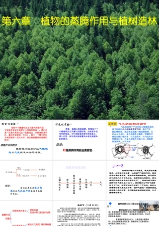 八年级生物上册 第六章《植物的蒸腾作用与植树造林》课件2 冀教版