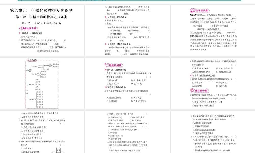 八年级生物上册 第六单元 生物的多样性及其保护课件 （新版）新人教版-（新版）新人教级上册生物课件