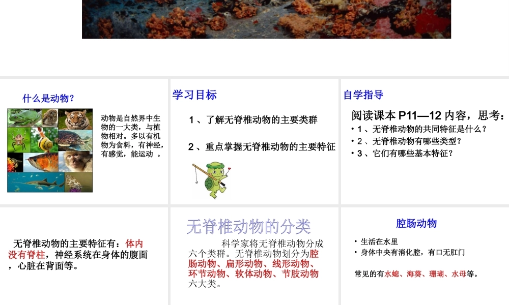 八年级生物上册 第五单元 第十四章 第二节 千姿百态的动物世界课件 苏教版-苏教版初中八年级上册生物课件