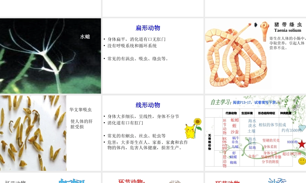 八年级生物上册 第五单元 第十四章 第二节 千姿百态的动物世界课件 苏教版-苏教版初中八年级上册生物课件