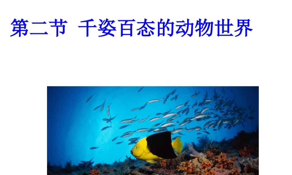 八年级生物上册 第五单元 第十四章 第二节 千姿百态的动物世界课件 苏教版-苏教级上册生物课件