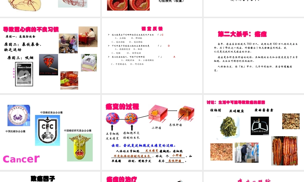 八年级生物上册 第十八章 第二节 威胁健康的主要疾病课件 苏教版