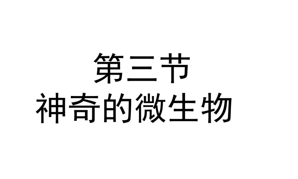 八年级生物上册 第五单元 第十四章 第三节 神奇的微生物课件2 （新版）苏教版-（新版）苏教版初中八年级上册生物课件