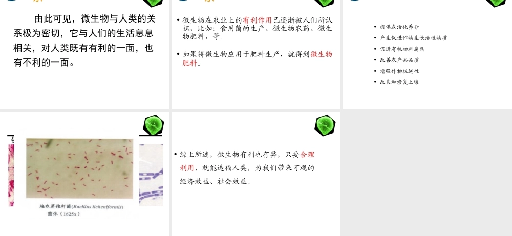 八年级生物上册 第五单元 第十四章 第三节 神奇的微生物课件2 （新版）苏教版-（新版）苏教版初中八年级上册生物课件