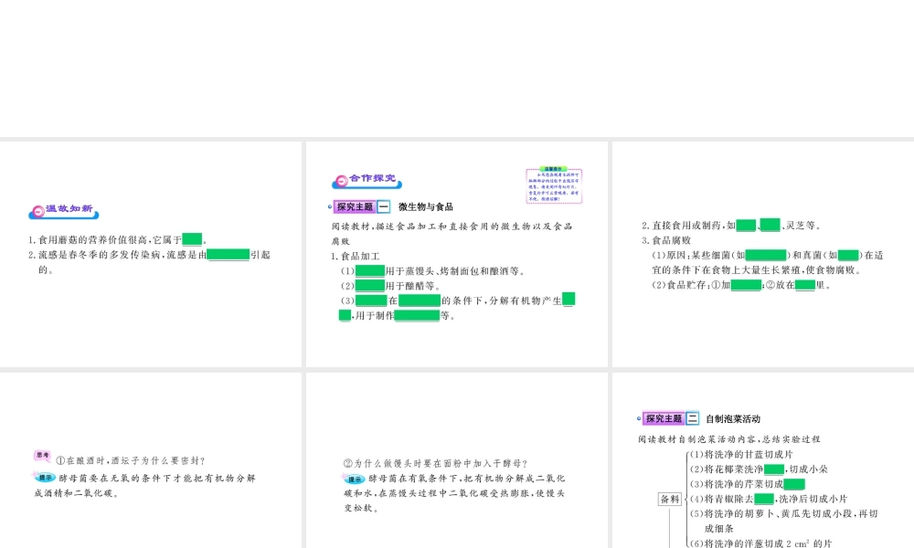 八年级生物上册 第十八章 第二节 微生物与人类的关系课件 北师大版