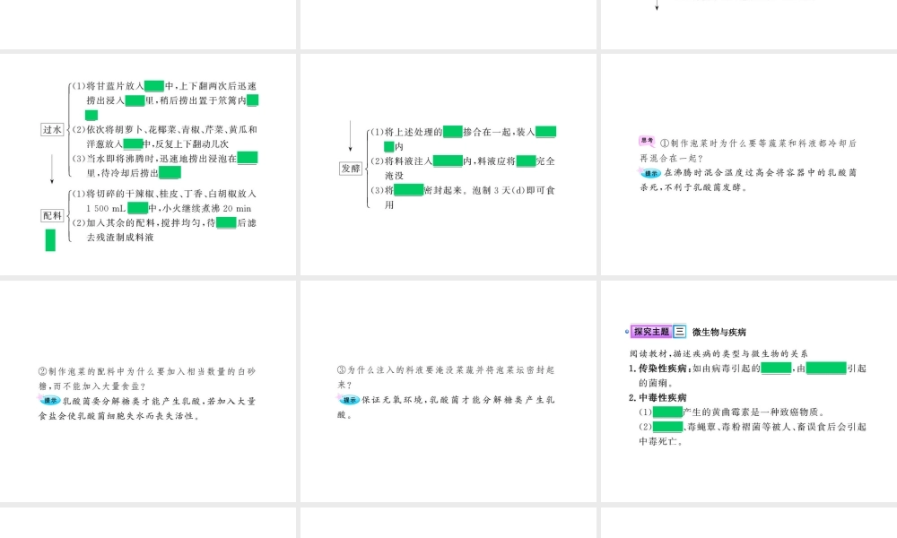 八年级生物上册 第十八章 第二节 微生物与人类的关系课件 北师大版
