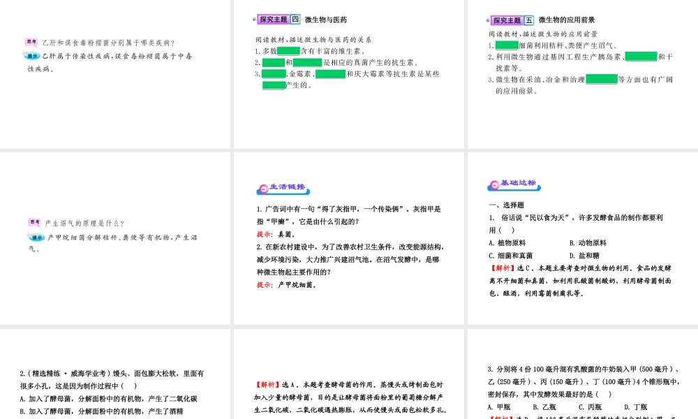 八年级生物上册 第十八章 第二节 微生物与人类的关系课件 北师大版