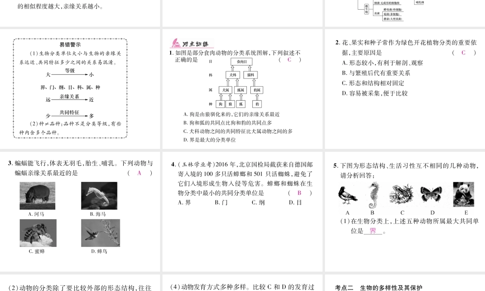 八年级生物上册 第六单元 生物的多样性及其保护小结课件 （新版）新人教版-（新版）新人教级上册生物课件