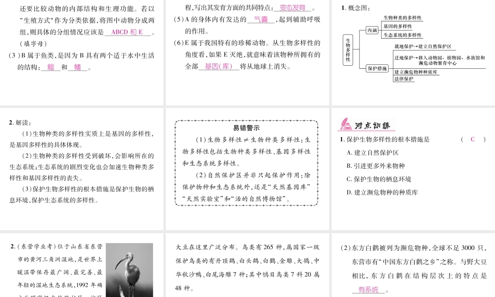 八年级生物上册 第六单元 生物的多样性及其保护小结课件 （新版）新人教版-（新版）新人教级上册生物课件