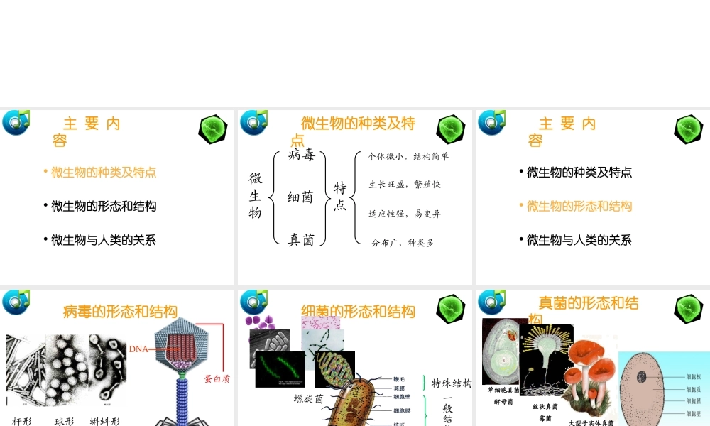 八年级生物上册 第五单元 第十四章 第三节 神奇的微生物课件2 （新版）苏教版-（新版）苏教级上册生物课件