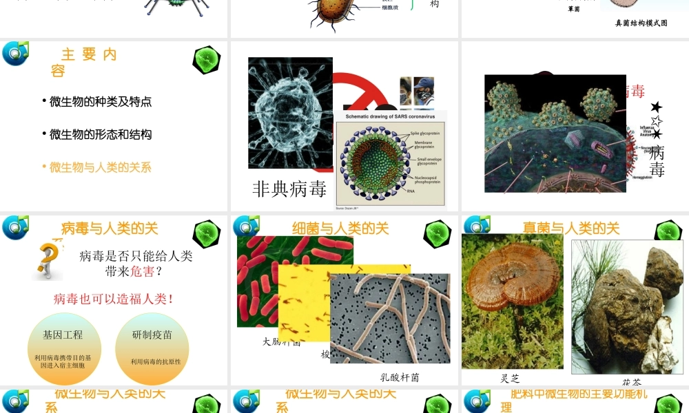 八年级生物上册 第五单元 第十四章 第三节 神奇的微生物课件2 （新版）苏教版-（新版）苏教级上册生物课件