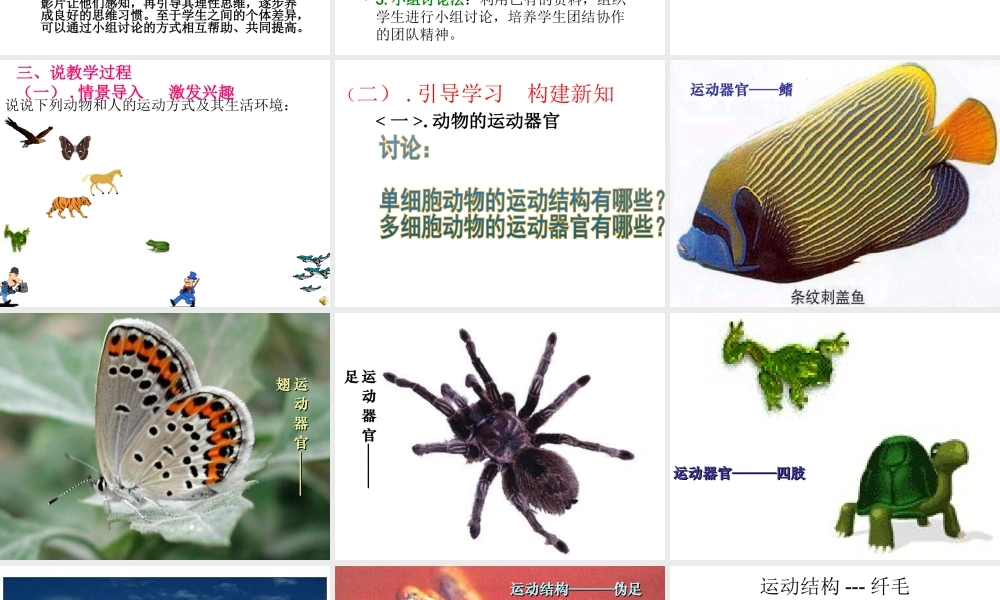八年级生物上册 第十八章 第一节 传染病动物的运动的能量来源课件 苏教版