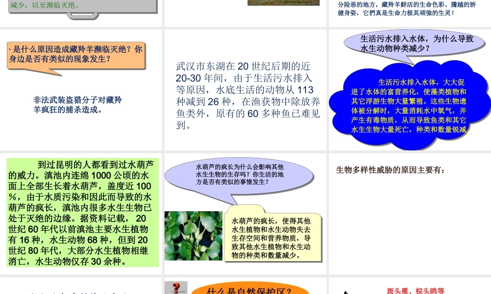 八年级生物上册 第五单元 第十五章 第二节 保护生物多样性的艰巨使命课件1 （新版）苏教版-（新版）苏教级上册生物课件