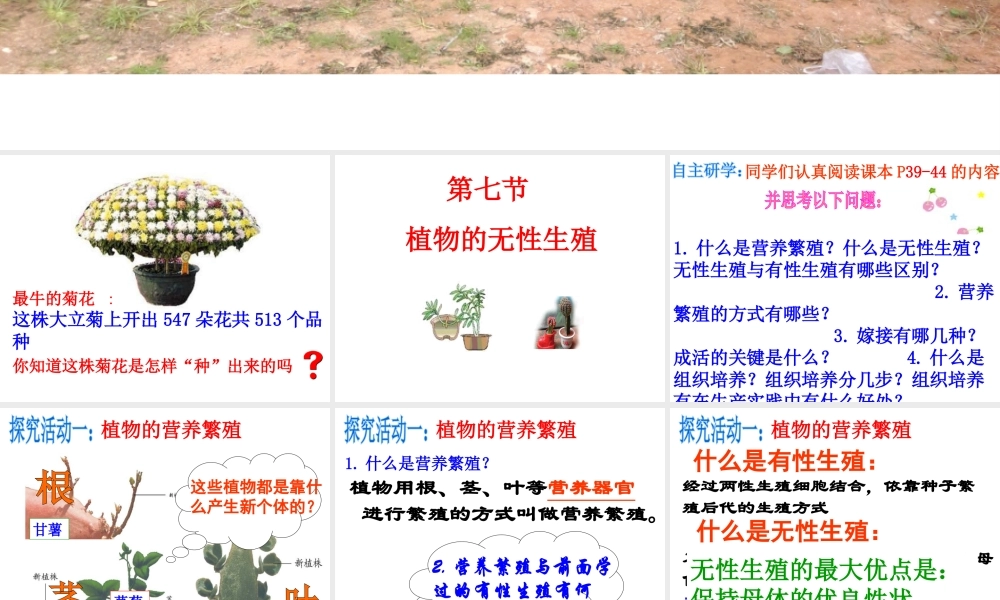 八年级生物上册 第四单元 第一章 第七节 植物的无性生殖课件 （新版）济南版-（新版）济南版初中八年级上册生物课件