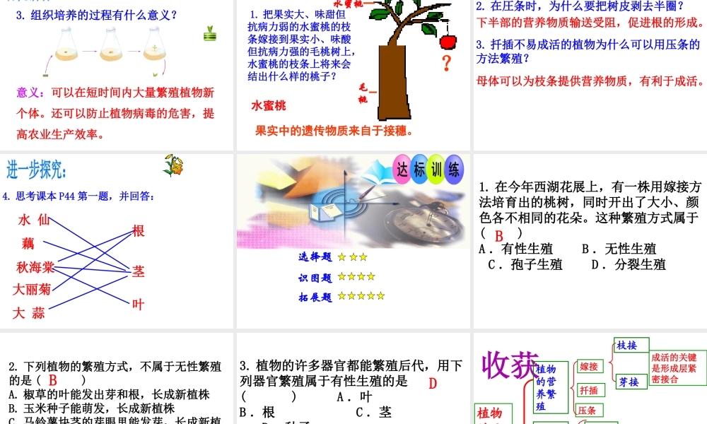 八年级生物上册 第四单元 第一章 第七节 植物的无性生殖课件 （新版）济南版-（新版）济南版初中八年级上册生物课件