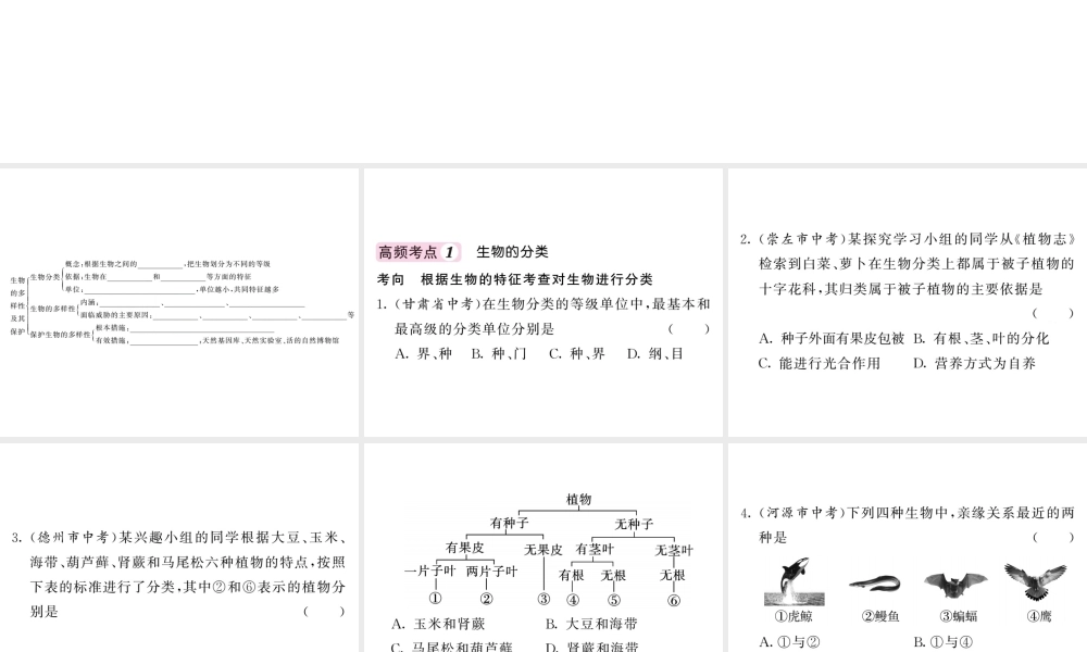 八年级生物上册 第六单元 生物的多样性及其保护知识网络习题课件 （新版）新人教版-（新版）新人教级上册生物课件
