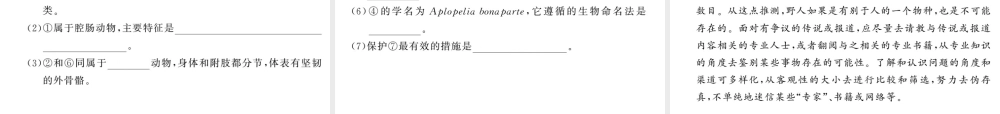八年级生物上册 第六单元 生物的多样性及其保护综合检测习题课件 （新版）新人教版-（新版）新人教版初中八年级上册生物课件