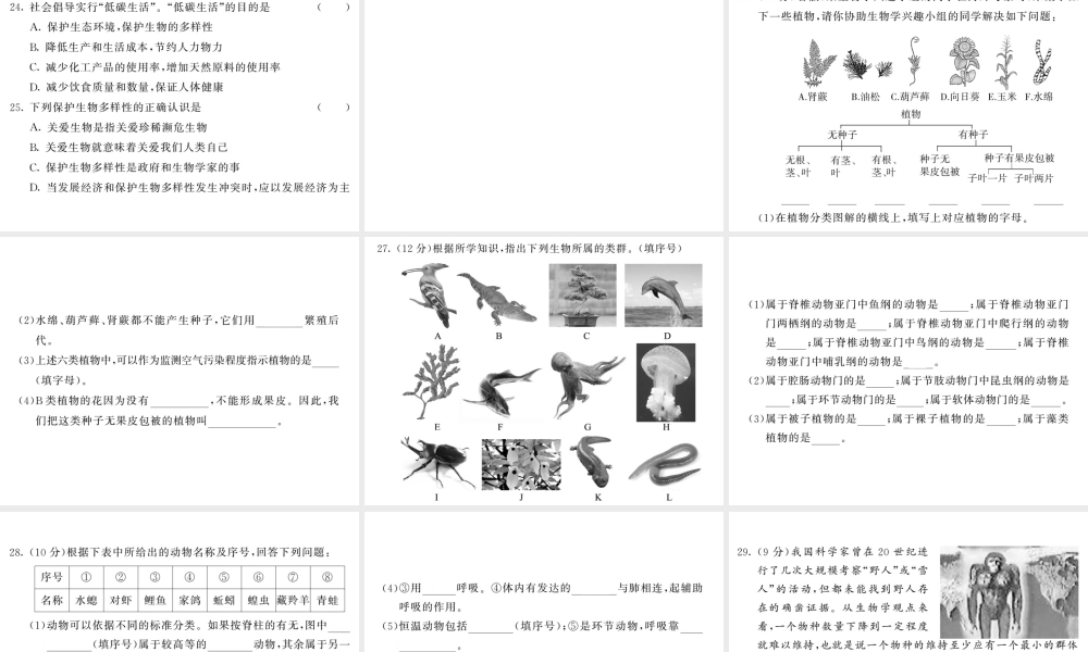 八年级生物上册 第六单元 生物的多样性及其保护综合检测习题课件 （新版）新人教版-（新版）新人教级上册生物课件