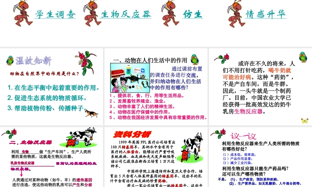 八年级生物上册《5.3.2 动物与人类生活关系》课件 （新版）新人教版-（新版）新人教版初中八年级上册生物课件