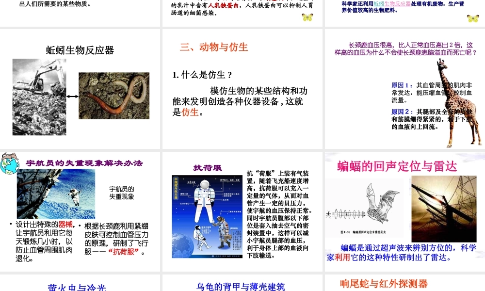 八年级生物上册《5.3.2 动物与人类生活关系》课件 （新版）新人教版-（新版）新人教版初中八年级上册生物课件