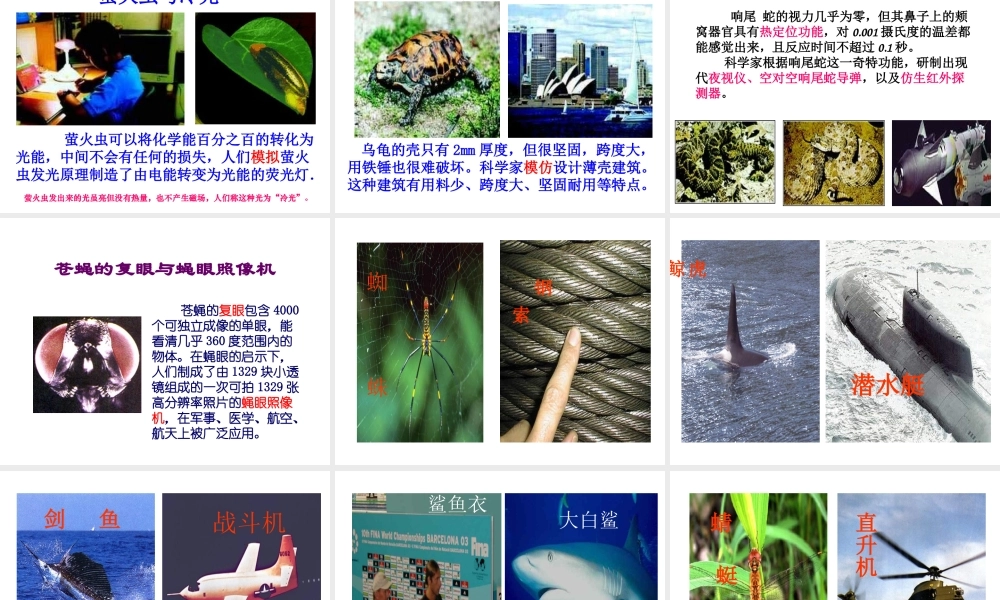 八年级生物上册《5.3.2 动物与人类生活关系》课件 （新版）新人教版-（新版）新人教版初中八年级上册生物课件