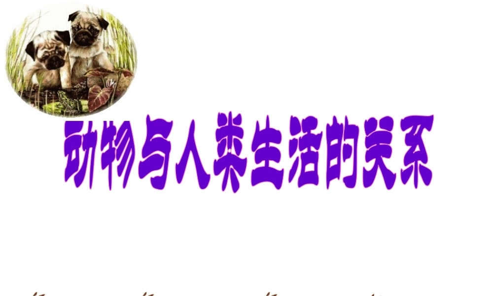八年级生物上册《5.3.2 动物与人类生活关系》课件 （新版）新人教版-（新版）新人教级上册生物课件
